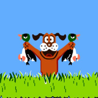 DuckShooting