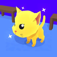 Cat Trap Labyrinth Escape